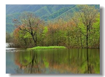 Живописное озеро Дацзюху в известном в Китае и мире заповеднике Шэньнунцзя