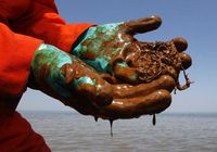Печальные кадры экологического загрязнения Мексиканского залива в результате разлива нефти