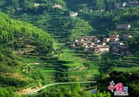 Красивые весенние пейзажи в уезде Сунъян провинции Чжэцзян