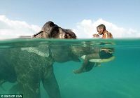60-летний старый слон и его 58-летний хозяйн развлекаются в воде
