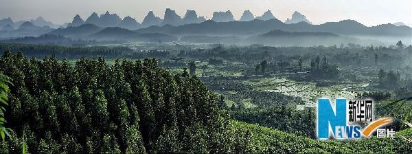 Красивые утренние пейзажи в полях волости Лянцзян города Гуйлинь