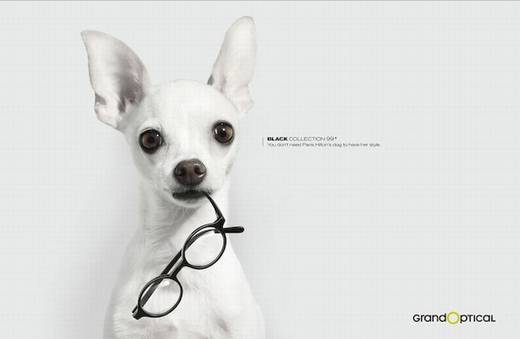 Забавная реклама с участием собак 