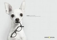 Забавная реклама с участием собак