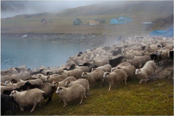 Прекрасные пейзажи Гренландии