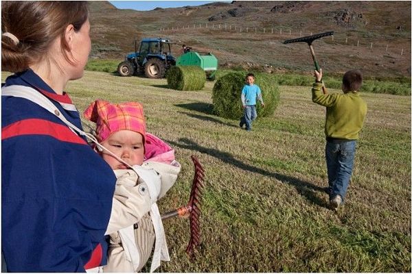 Прекрасные пейзажи Гренландии