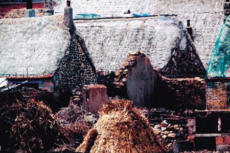 Дома с крышами из морских водорослей в городе Вэйхай провинции Шаньдун