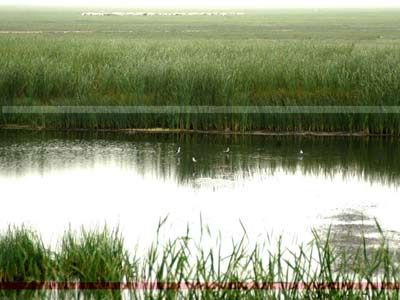 Парки водно-болотных угодий в Пекине 