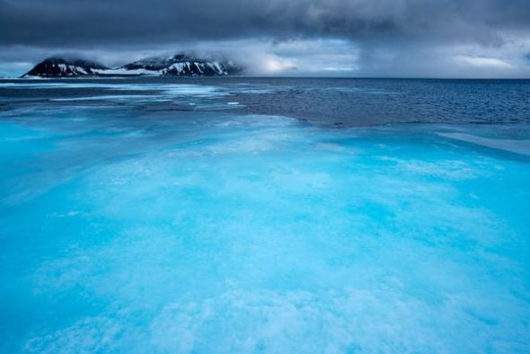 Дикая красота Арктики в объективе фотографа 