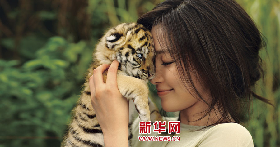 Красавица и чудовище: Ли Бинбин играет с тигренком 