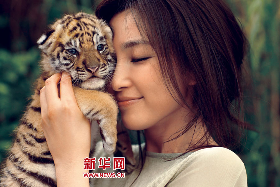 Красавица и чудовище: Ли Бинбин играет с тигренком 