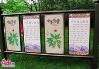 Тематический парк культуры охраны здоровья с помощью китайской медицины