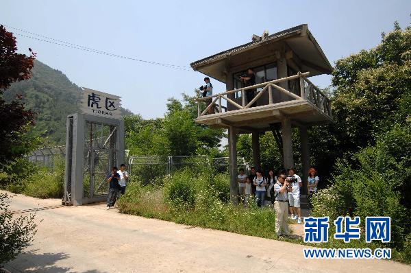 В сианьском зоопарке в результате нападения тигров умер один человек и один ранен