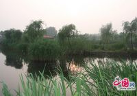 Парк водно-болотных угодий в городе Цзаочжуан провинции Шаньдун