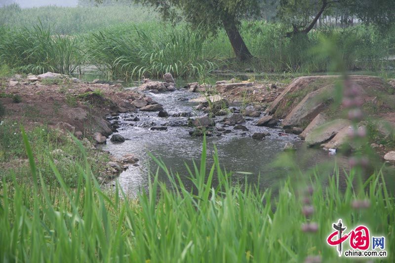 Парк водно-болотных угодий в городе Цзаочжуан провинции Шаньдун