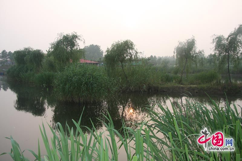  Парк водно-болотных угодий в городе Цзаочжуан провинции Шаньдун