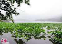 Живописное озеро Сиху в городе Ханчжоу