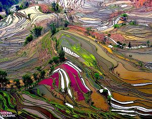 Красивые пейзажи террасированных полей в провинции Юньнань