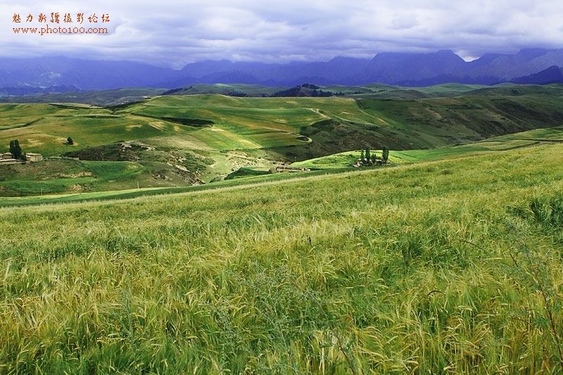 Чарующие пейзажи в районе Цзянбулакэ