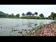 Озеро Тайху площадью 2400 кв. километров является одним из пяти самых крупных пресных озер в Китае. Остров Юаньтоучжэ расположен около северо-западного берега озера Тайху. В 1918 году на острове Юаньтоучжэ были построены сады площадью 300 гектаров. 