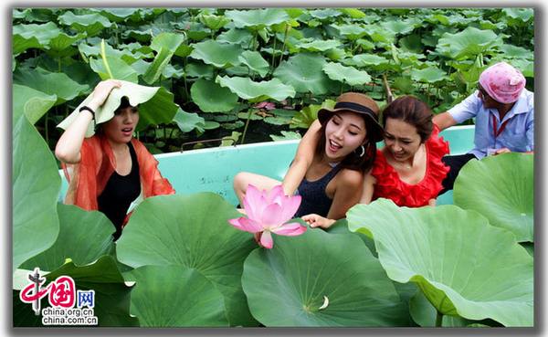 Открылся 15-й Фестиваль лотосов в парке «Юаньминъюань» в Пекине