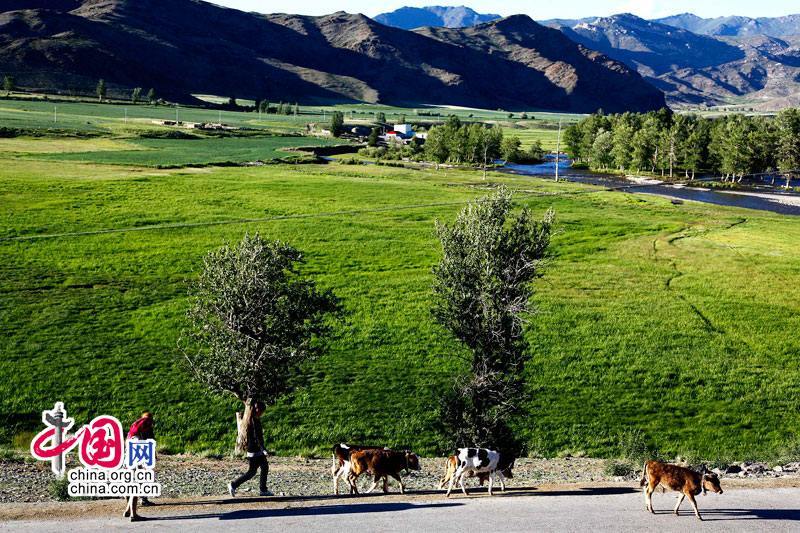 Красивые пейзажи и счастливые представители казахской национальности в северной части СУАР
