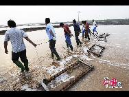В конце июня в солеварне «Ванцзятань» города Жичжао провинции Шаньдун работники под жарким солнцем занимаются извлечением соли из моря.