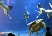 Прекрасный подводный балет в исполнении российских девушек