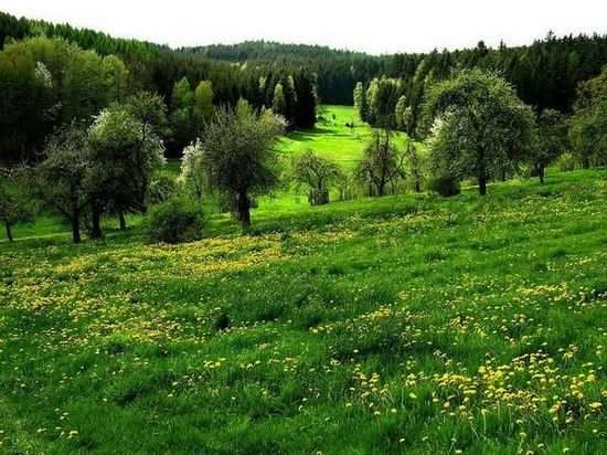 Удивительно! Красивые пейзажи Германии