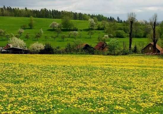 Удивительно! Красивые пейзажи Германии