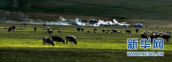 Чарующие летние пейзажи в степи Хулунбуир