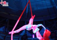 Замечательные выступления на Международном фестивале циркового искусства «Эхо Азии» в рамках празднования Дня столицы Казахстана
