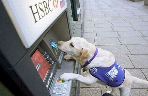 Смешные истории, связанные с ATM