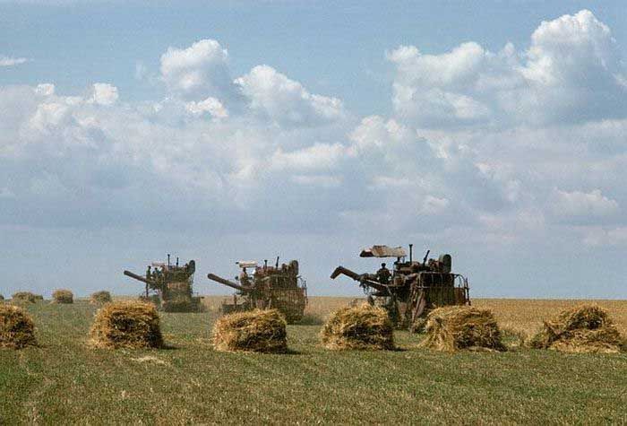 Фотографии из повседневной жизни за последние 30 лет до распада СССР