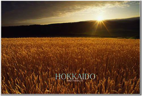 Прекрасные летние пейзажи Хоккайдо Японии