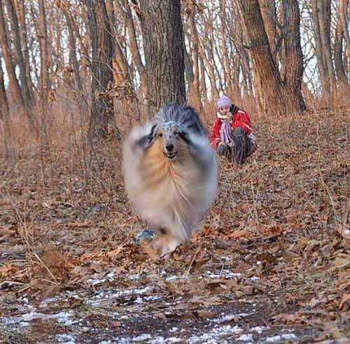 Редкие снимки