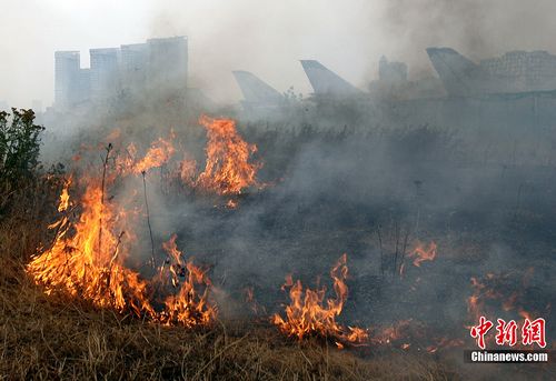 В. Путин: ситуация с пожарами в России остается напряженной