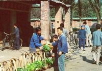 Город Гуанчжоу в 1978 году в объективе иностранного фотографа