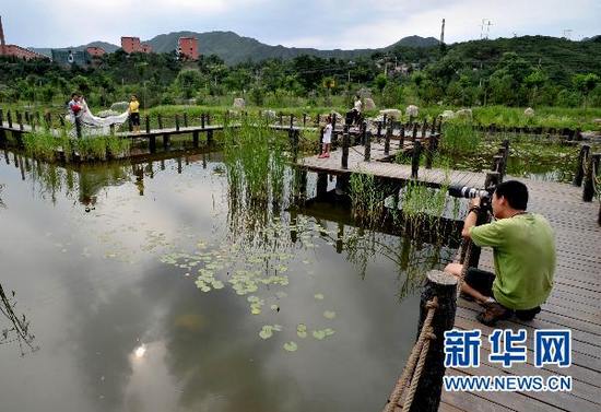 На западе Пекина вновь появились пейзажи заболоченных земель