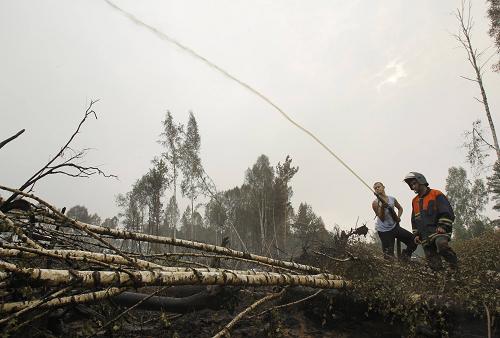 В России количество новых очагов лесных пожаров продолжает увеличиваться