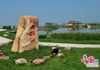 Ляньхуаньху в городе Дацин - жемчужина водно-болотных угодий