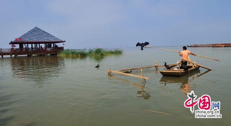 Ляньхуаньху в городе Дацин - жемчужина водно-болотных угодий 