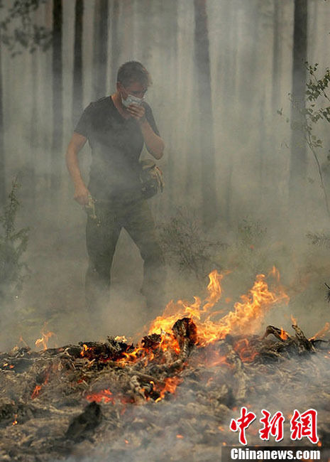 Лесной пожар в России сделал более 10 тыс. человек бездомными