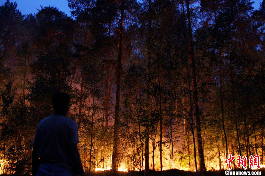 Лесной пожар в России сделал более 10 тыс. человек бездомными
