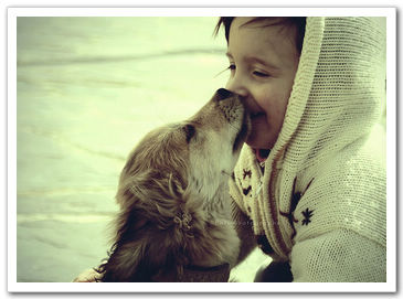 Теплые моменты общения детей и животных