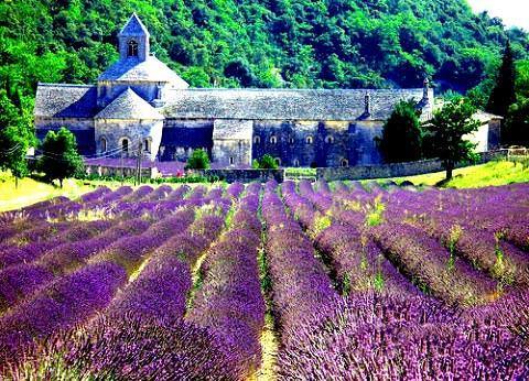 Самое романтичное место для проведения летнего отпуска в Европе: Прованс