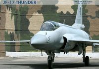 В будущем Азербайджан сможет приобрести минимум 24 истребителя JF-17 «Thunder»