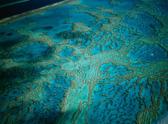 Большой барьерный риф в Австралии