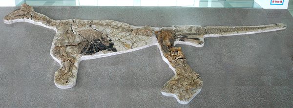 Крупнейший в мире музей динозавров – Шаньдунский музей «Тяньюй» в городе Линьи 
