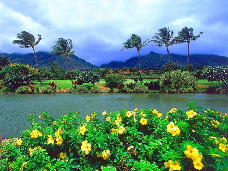  Летний рай и жемчужина Тихого океана —Красочные Гавайи