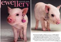 Свинья с серьгой на обложке модного журнала «Vogue» русской версии